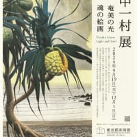 『田中一村展 奄美の光 魂の絵画』ー田中一村の全画業を一望に