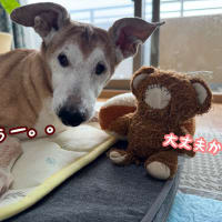 ちょっと不調です。。。