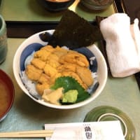 どうもマタギです。