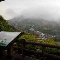 何かに導かれての里山