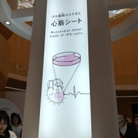 再びEXPO