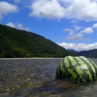 星降る川から（気まぐれダイアリー） ６月２９日