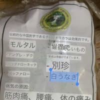 別珍　白うなぎ😓