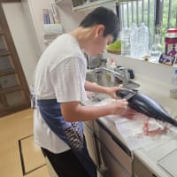 料理大好きな琉守が大きなヨコワをお造りに(#^.^#)