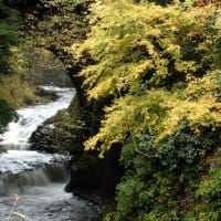 『濃溝の滝』　今大人気の紅葉スポット