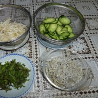 大葉いりきゅうりともやしとちりめん炒め