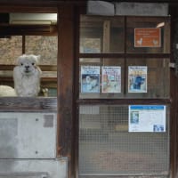 20250328　いしかわ動物園
