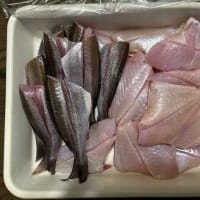 長男が雑魚をいっぱい・買い物と逮夜お参り