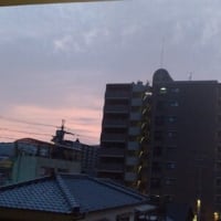 2025年7月7日（月）晴。