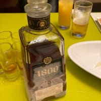 新入社員歓迎会