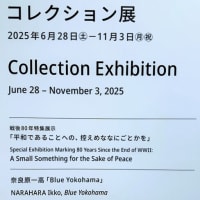 「コレクション展」／横浜美術館