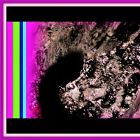 🐉🌈〖日蓮大聖人〗由来の清流に【⚡龍神様⚡】出現❢❢