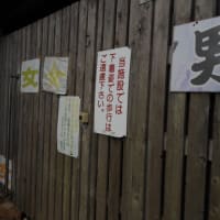 秘教数秘学①