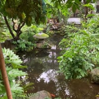 【長野】戸倉上山田温泉 / TOGURA KAMIYAMADA ONSEN