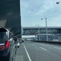 250記事目❗️