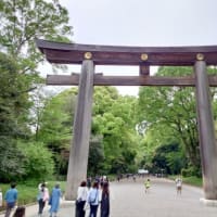 【感】根津神社と明治神宮をはしごする