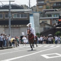 京都宇治の「縣神社」の初夏の祭「大幣神事」。いよいよクライマックス。あがた通りを疾走する大幣と馬