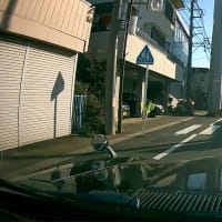 鎌倉街道を行く