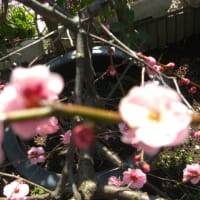 勝利の瞬間