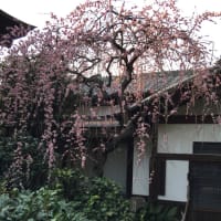 上野 五條天神社