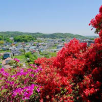 今日のブログ（2025/04/30）