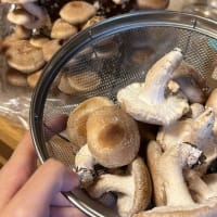 コロナで自宅軟禁状態！！