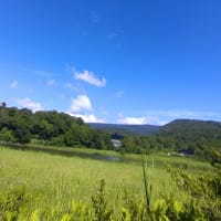 長ーい飛行機雲