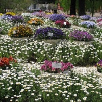 公園散歩