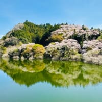 4月の写真 ✴︎ 引越し。