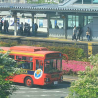 ＪＲ清水駅自由通路からの撮影（２０２４年４月）