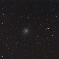 【おおくま座】　M101　フェイスオン！