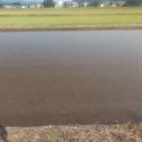 今日は総務