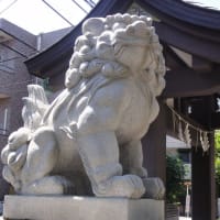 庚嶺坂 （ゆれいさか）を登った所に神楽坂若宮八幡宮！住宅街のど真ん中に有ります！