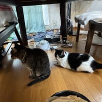 2025/6/30の朝