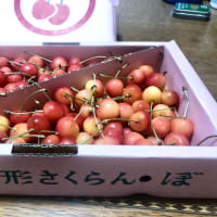 週明けは定期健康診断へ