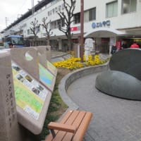 難宗寺のイチョウ
