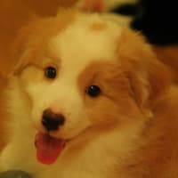 ロックっく♪