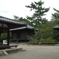 20241008奈良薬師寺と唐招提寺
