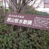 秋田、山形の旅　2008年3月（その3）