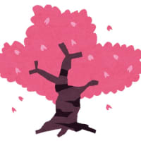 2024.4『桜の木』