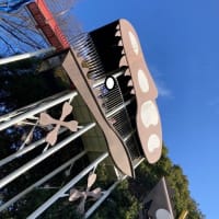 1月15日(土)　つばさ舞子　石ヶ谷公園に行きました！