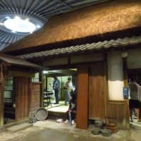 琵琶湖博物館　暮らしと繋がる自然