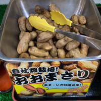 浜焼きの合間に！お酒のおつまみにもおすすめ！大粒落花生「おおまさり」