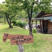 竹林庵 みずの（網代温泉）2024年7月　初訪その①