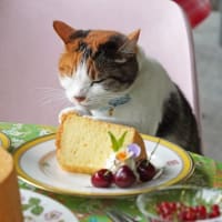 手づくりミャクミャクだよ♪