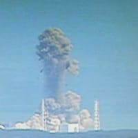 原発事故は人災だ！東電の解体と原子力委員会や保安院のネズミ共を懲戒解雇すべき話だ。