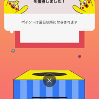 「ポイ活」の一端に触れる