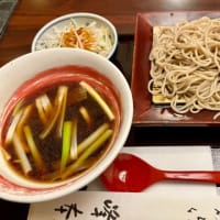 鎌倉に〜　蓮の花・アガパンサスを♪