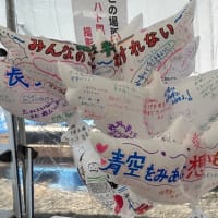 閖上で鳩風船を天に届けました