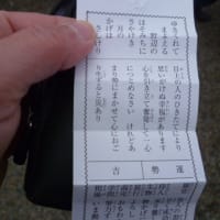 今年も宜しくお願いします